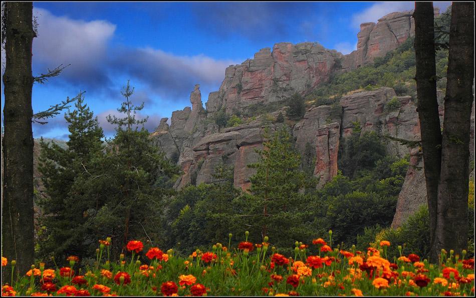 Castle Cottage Bed & Breakfast Belogradchik Exterior photo